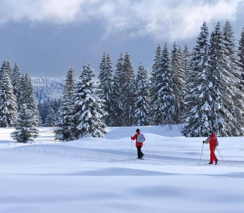 Gite Au Coeur Du Jura Entre Comte Et Vin Jaune, Gite Vin Jaune Chamole Exteriér fotografie
